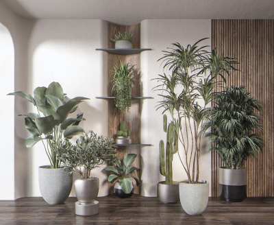 现代绿植盆栽3D模型下载